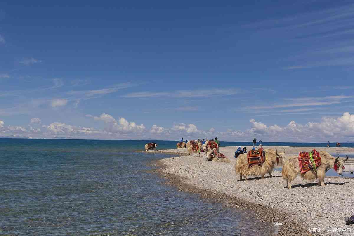 青海国旅在线旅游怎么样