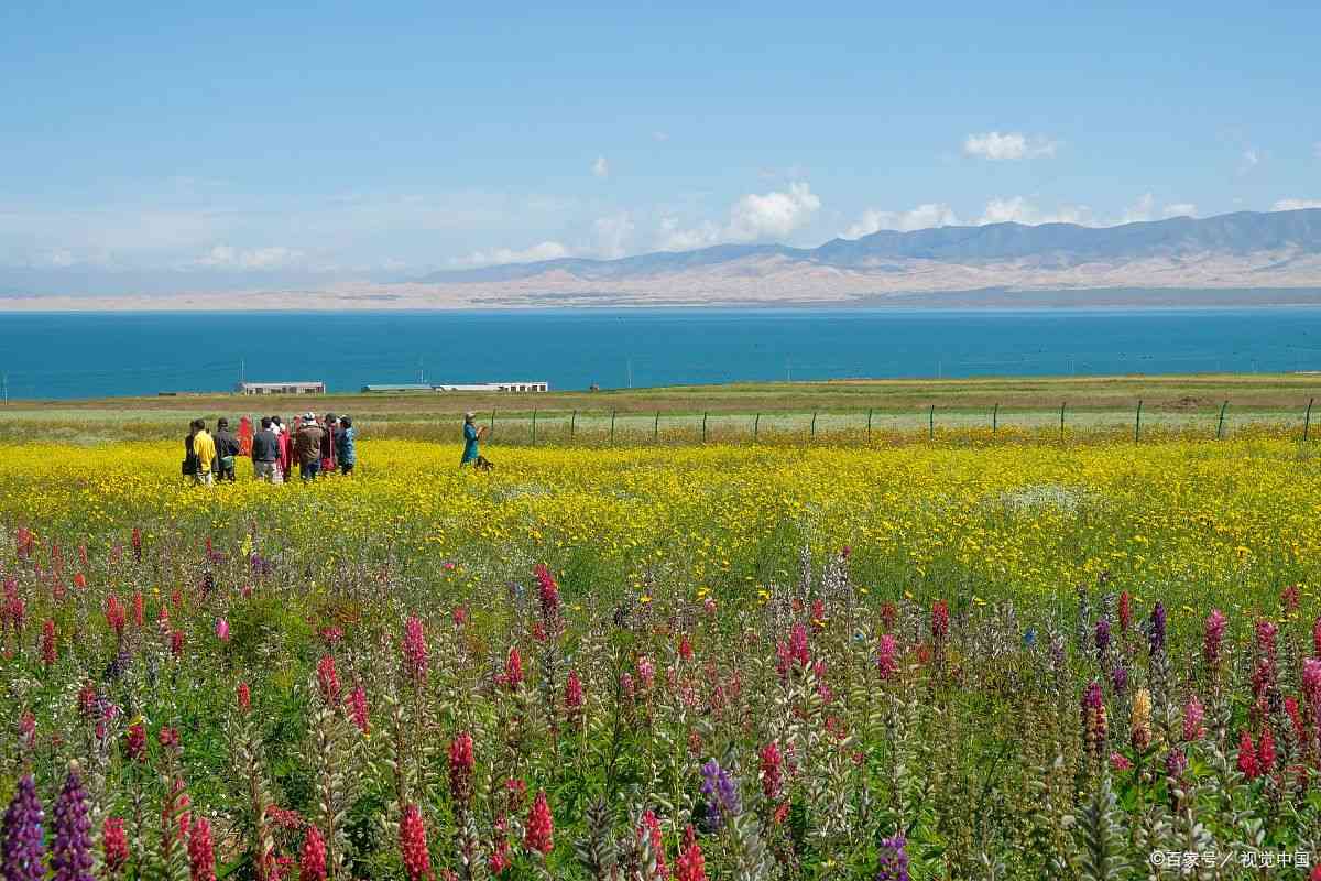青海国旅怎么样